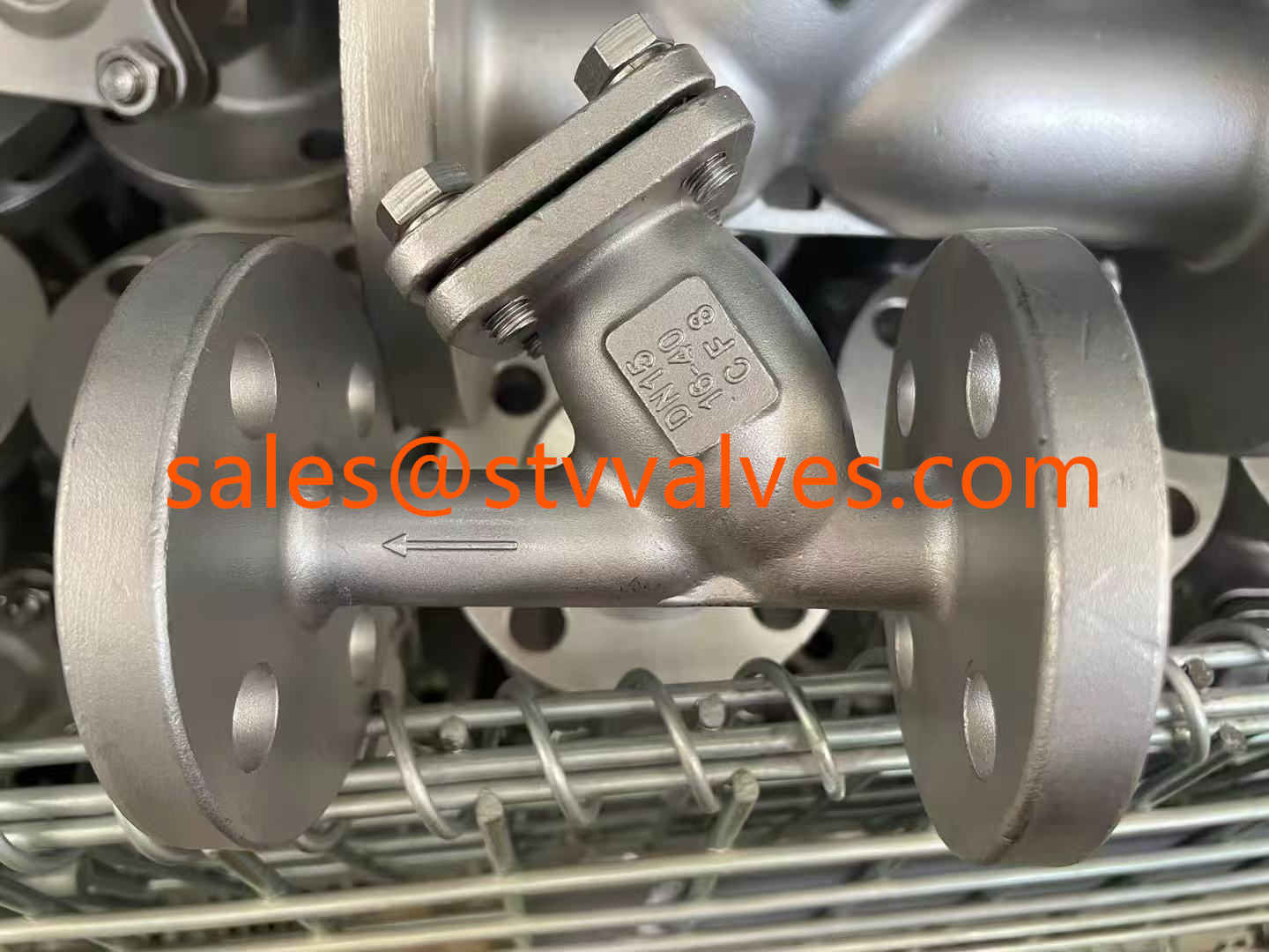 PN16 CF8M Y Type Strainer, RF Ends CF8M Y Type Strainer manufacturer