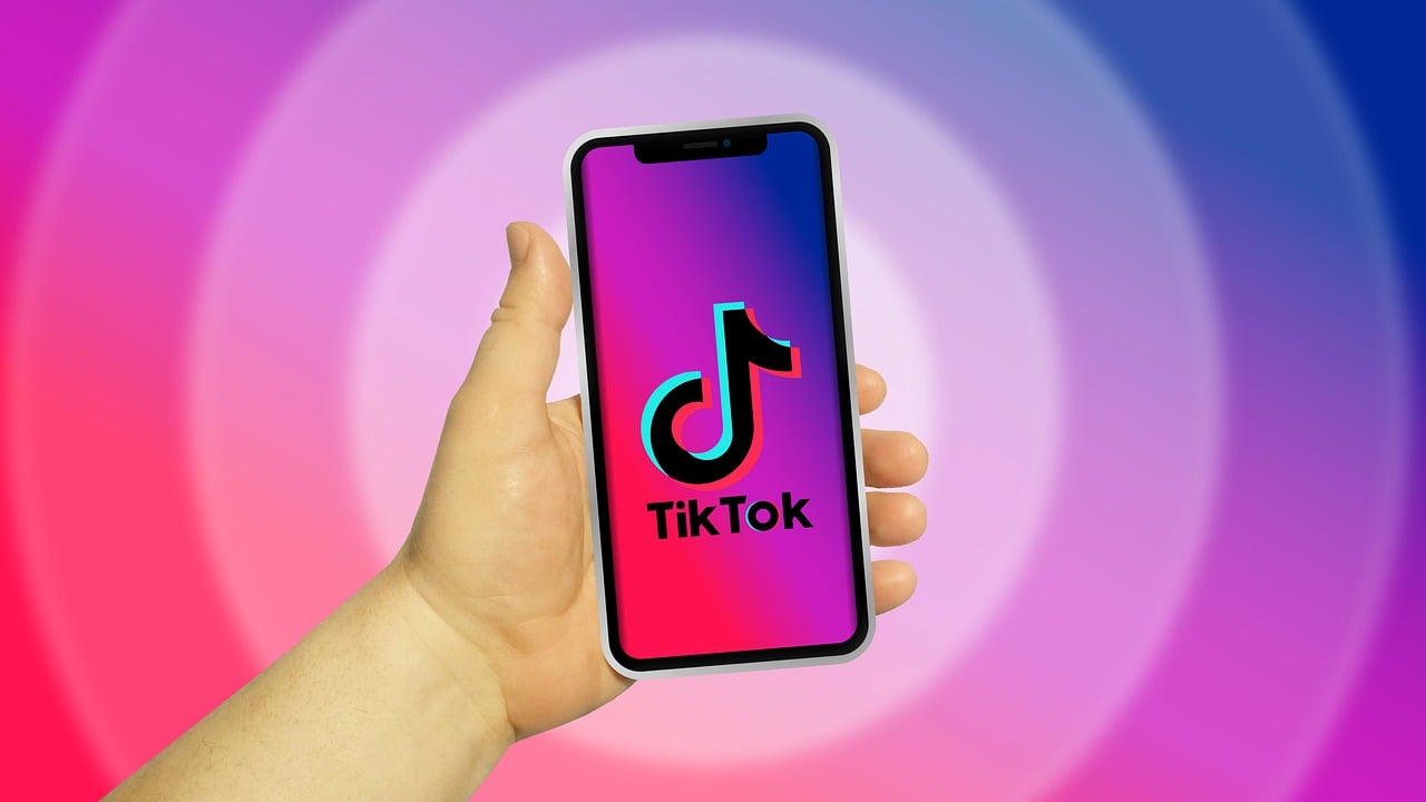 Alternative Methods for Downloading TikTok Videos