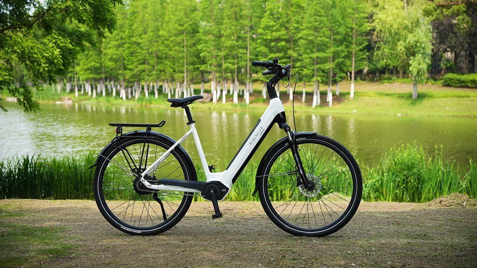 Rabeneick Comfort Leichtes E-Bike vs Tenways | AGO T