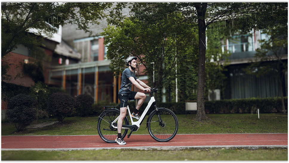 Rabeneick Comfort Test: Das perfekte City E-Bike mit Enviolo-Schaltung & 16kg Leichtigkeit