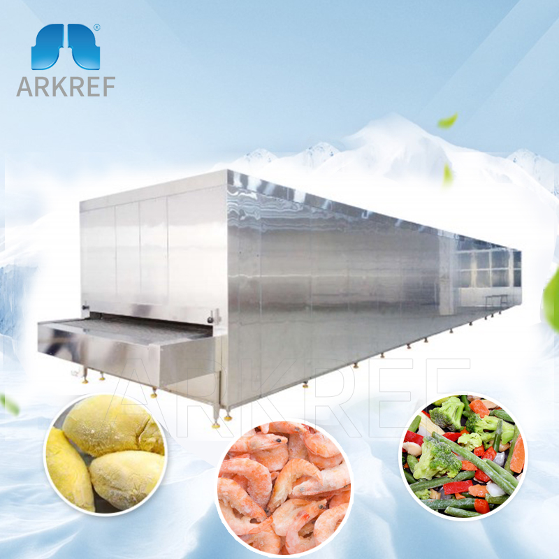 Discover the Features and Benefits of Tunnel Freezers with Arkref