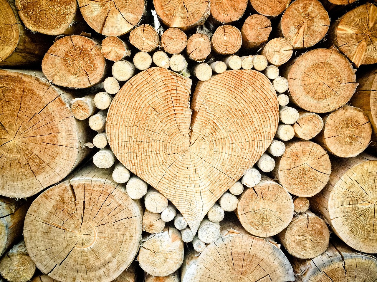 Persönlichkeitsprofil des Holzelements: Wachstum, Kreativität und Wohlwollen