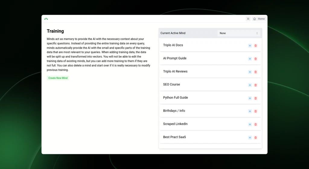 Benefits of Using Triplo AI