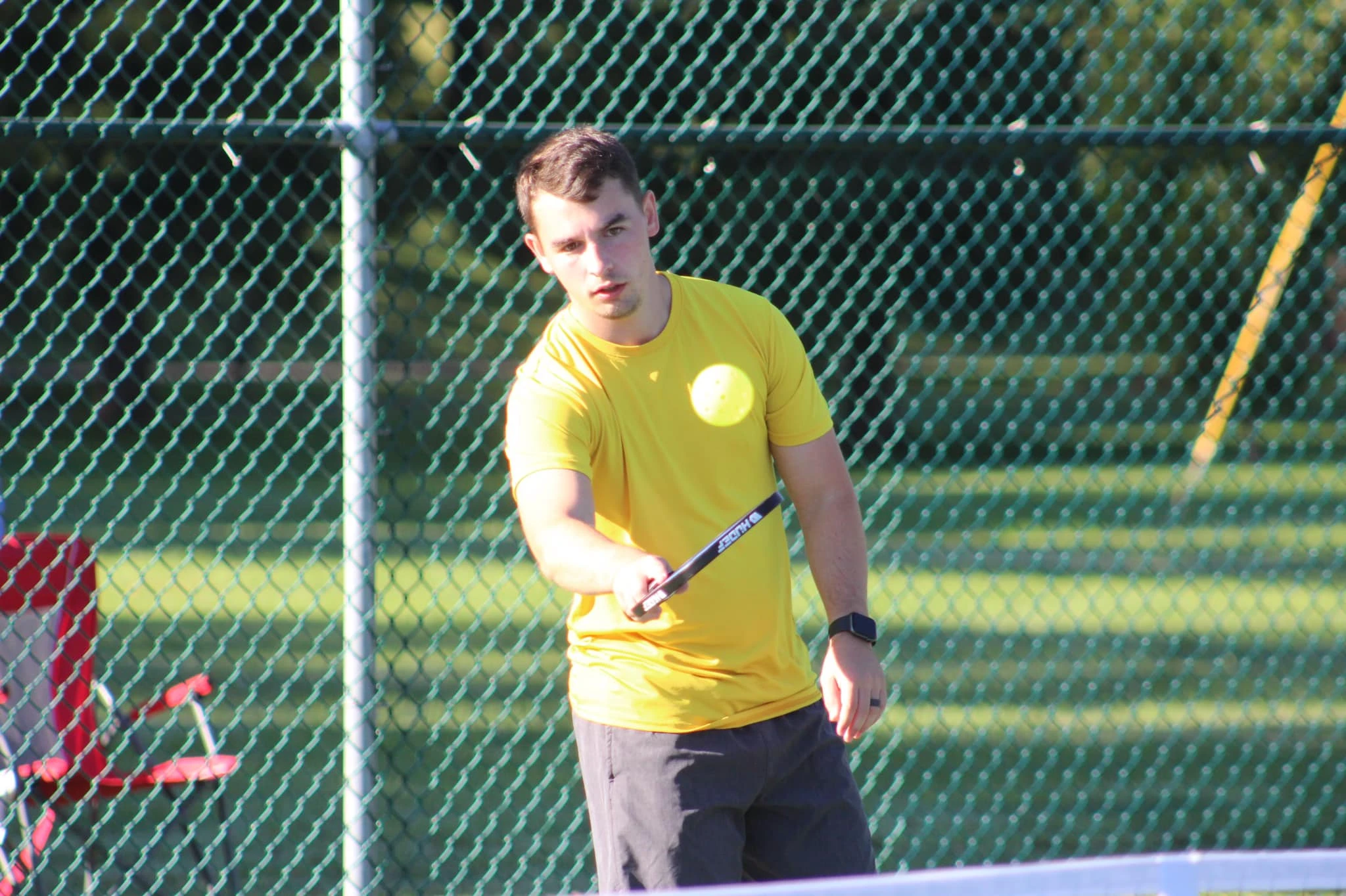 Good Standard Pickleball Paddles 80% Rally Win
