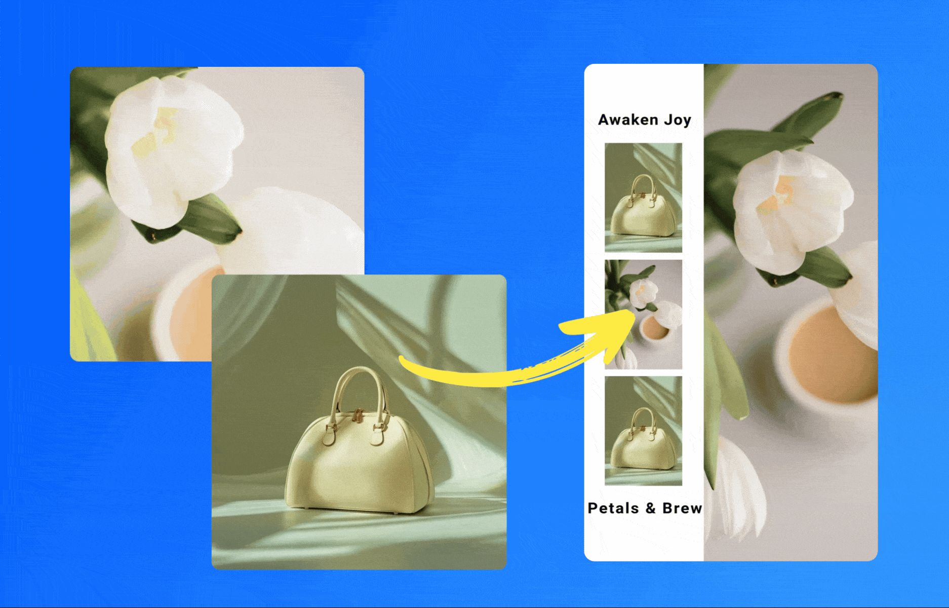 visual-to-video-by-boolvideo
