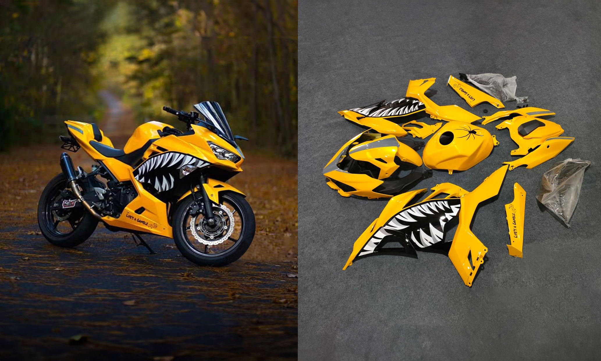 How to Choose Fairing Colors That Make You Stand Out on the Road