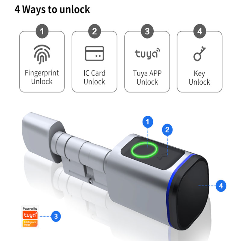 Top Fingerprint Door Locks