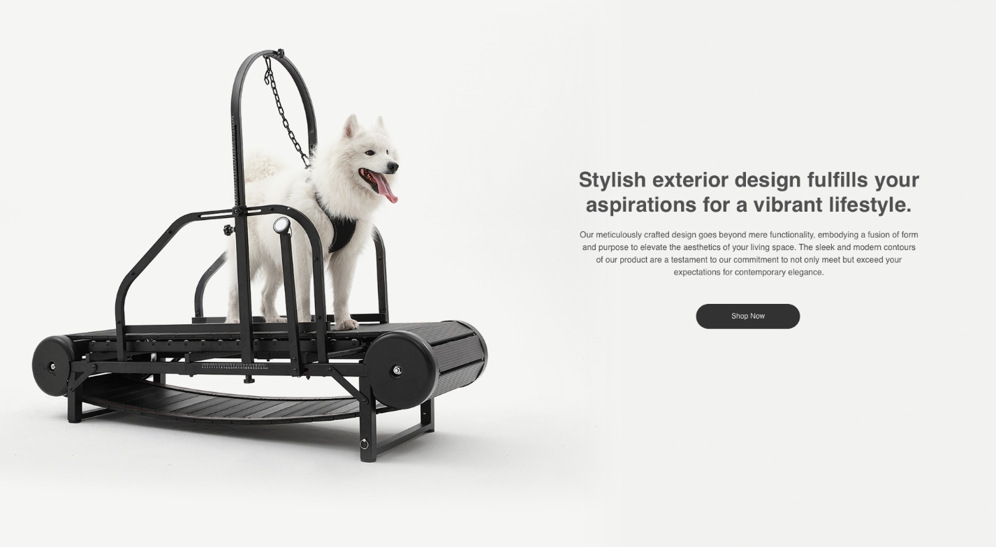 The Best Dog Treadmills to Keep Your Pup Active