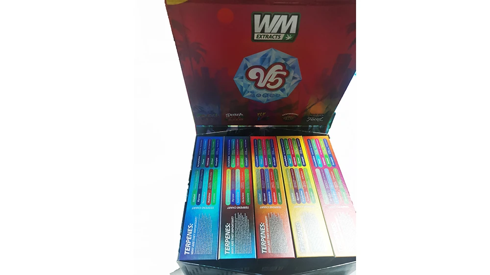 Why Whole Melt Disposable Vapes Are Worth Your Time