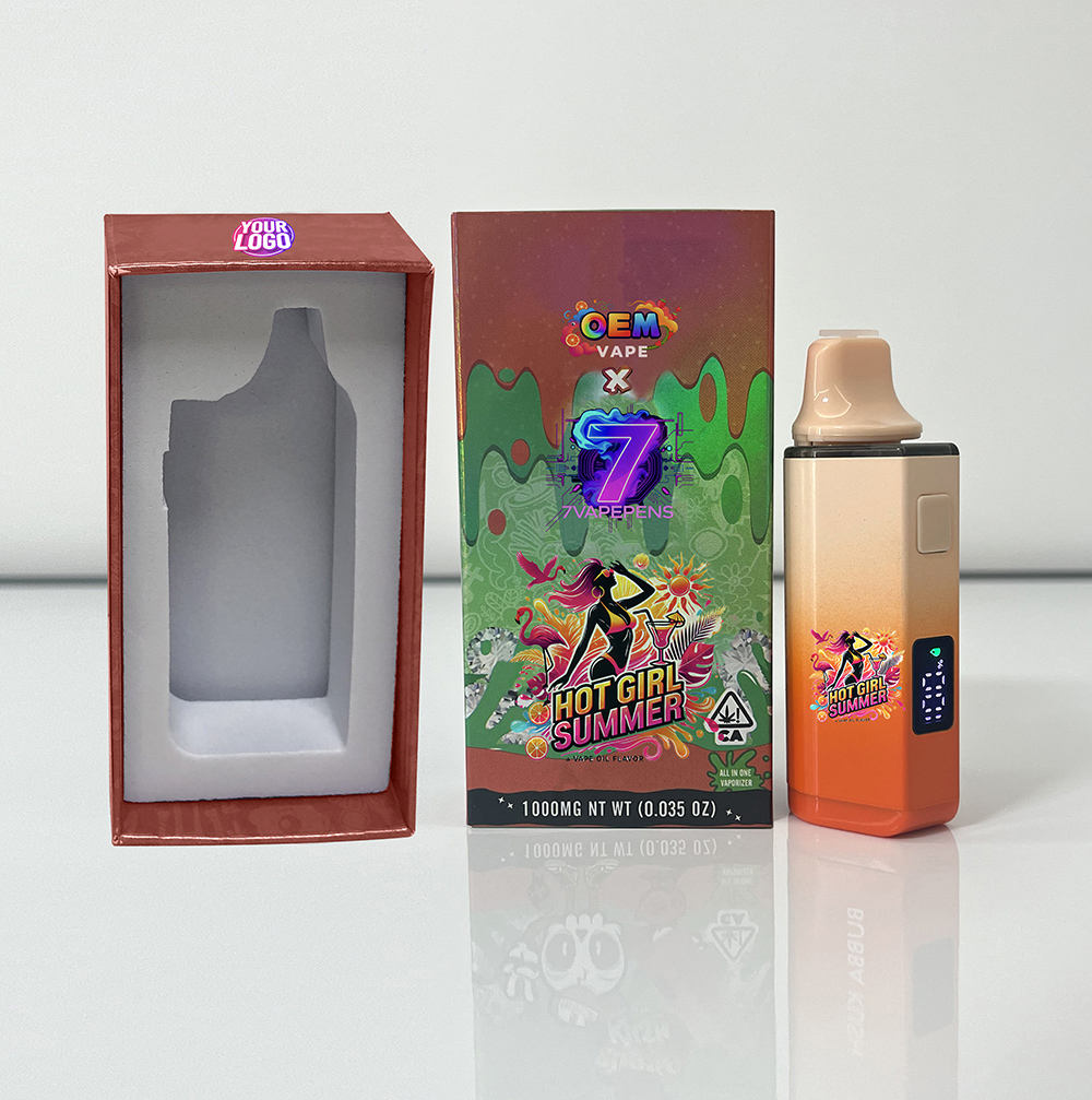 Overview of Packman Disposable Vapes