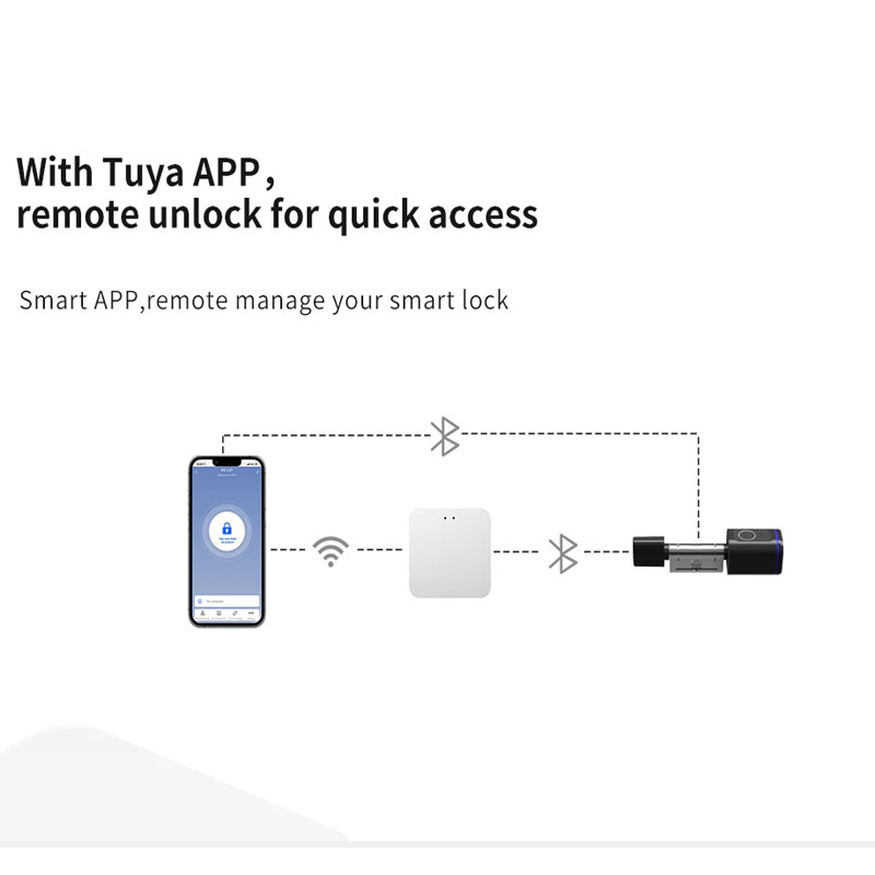 Wi-Fi Smart Locks