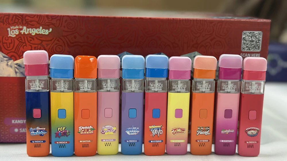 A Deep Dive into the 2g Whole Melt V4 Disposable Vape Experience