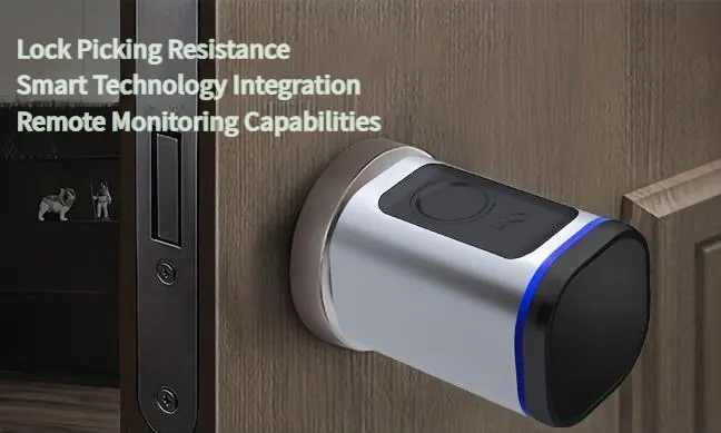 Security Features of Smart Locks