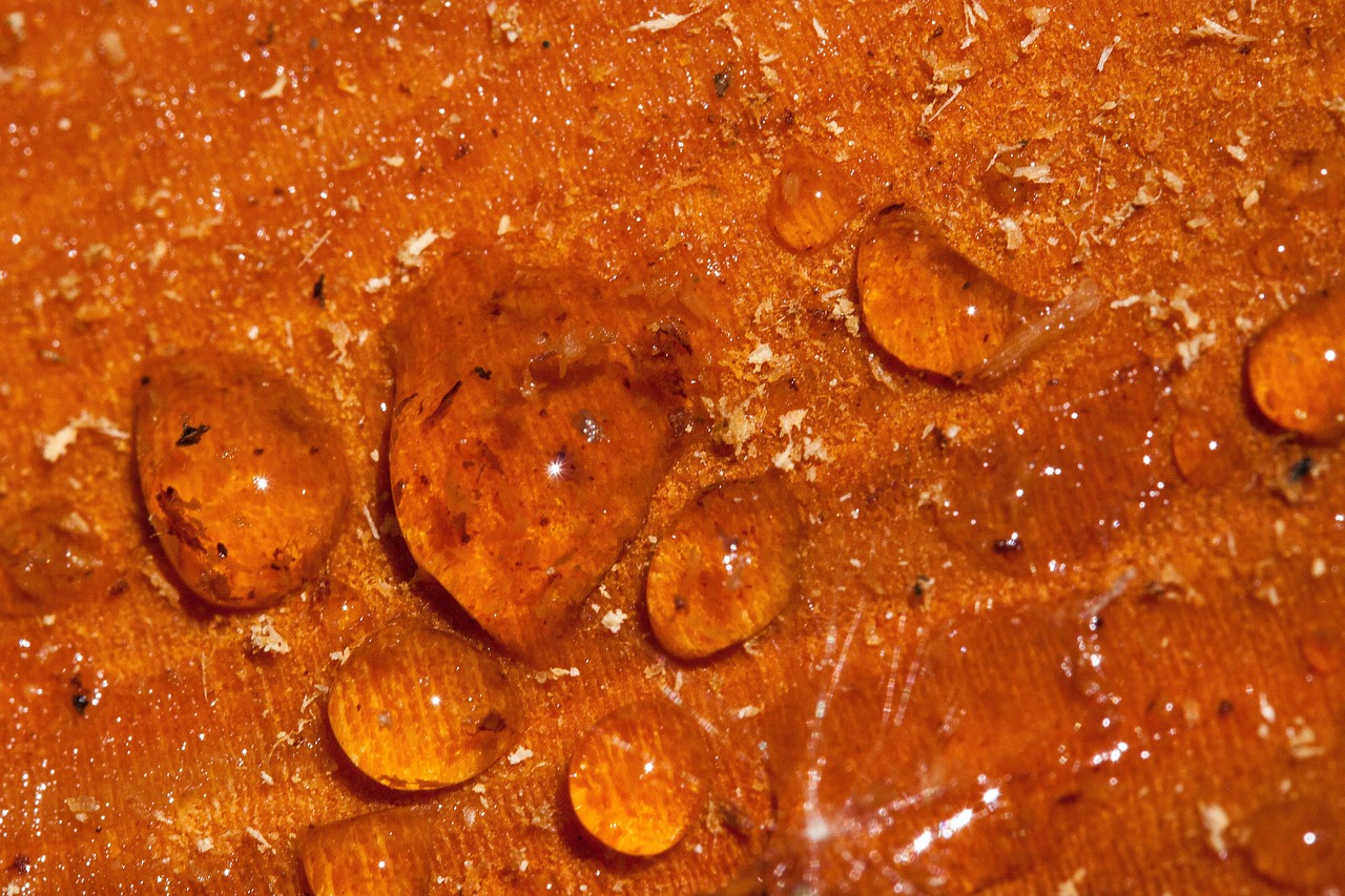 Top Live Resin Carts You Can Buy Online in 2025