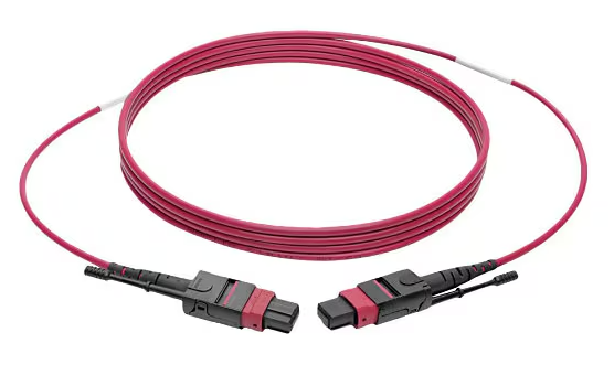 MPO Patch Cord