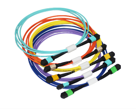 MTP trunk cable