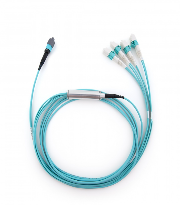 MTP trunk cable