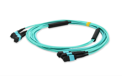 MTP trunk cable