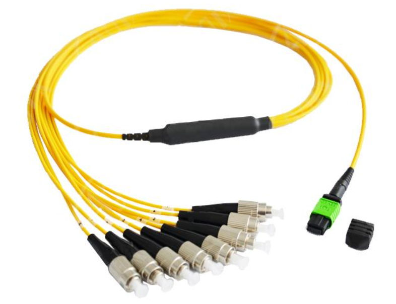 MPO Breakout Cable