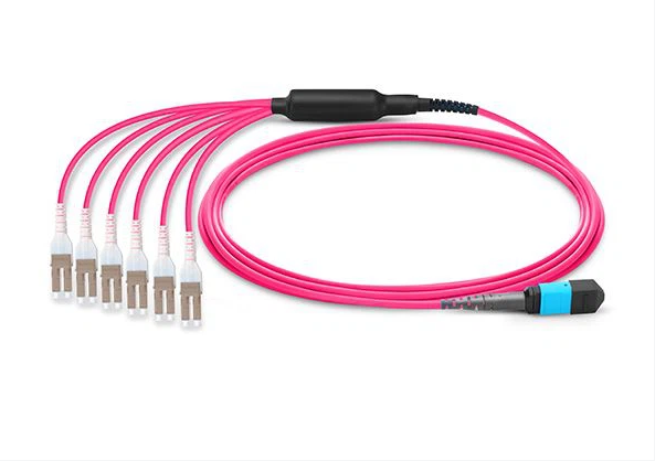 MPO Patch Cord