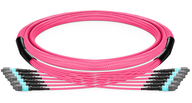 MPO Cable