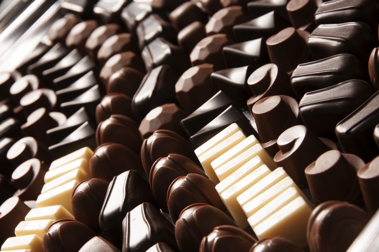 Your Guide to Choosing the Best Chocolate Moulding Machine