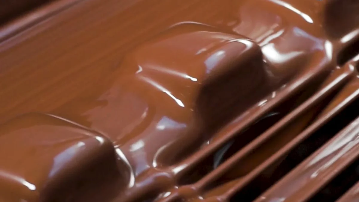 Understanding Chocolate Enrobing Machines