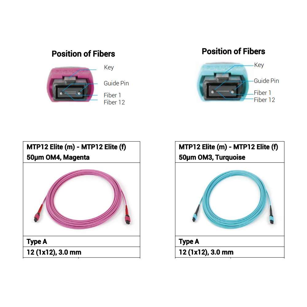 MPO trunk cable