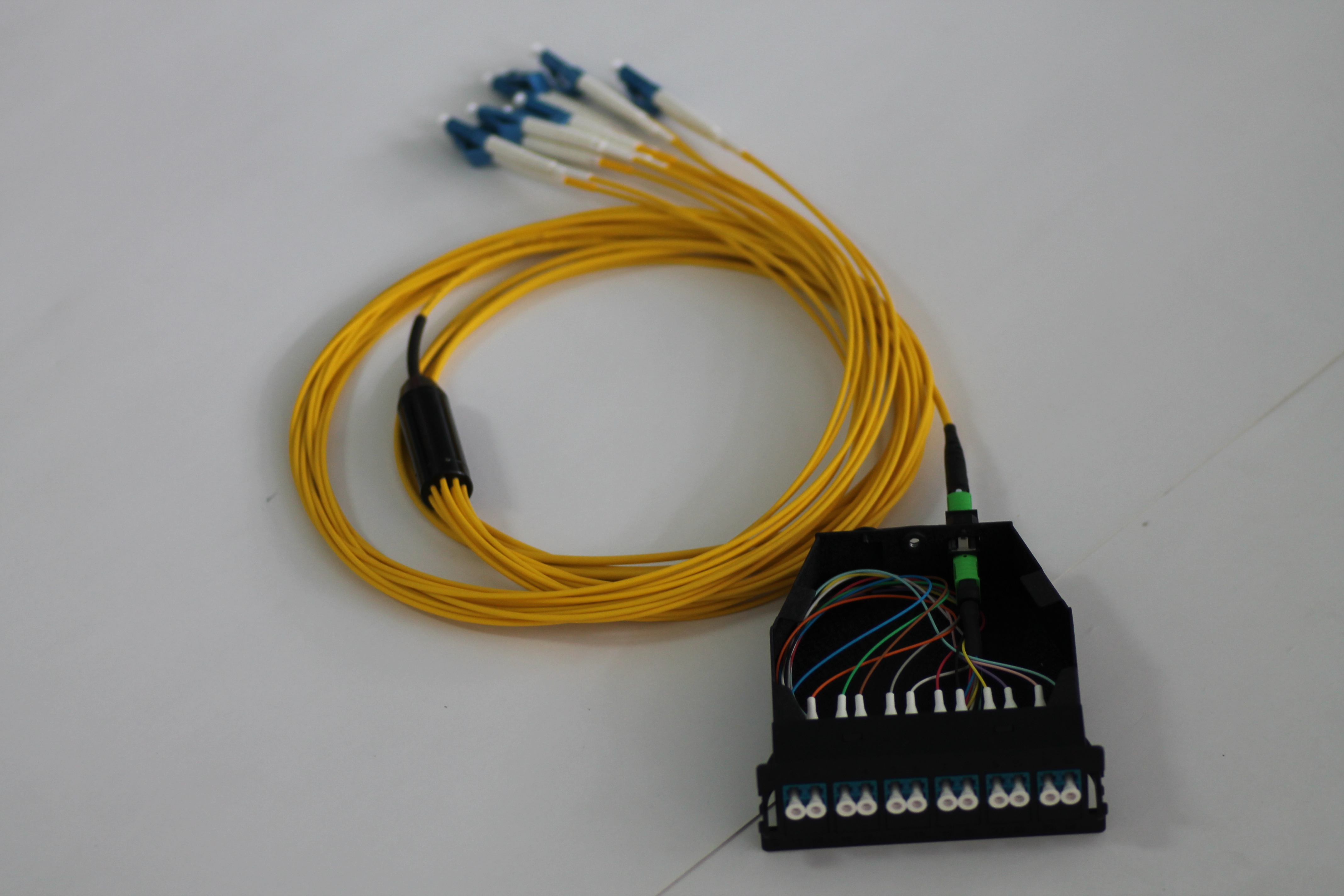 MPO 12 Fiber Module Boxes