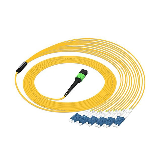 mpo cable accembly