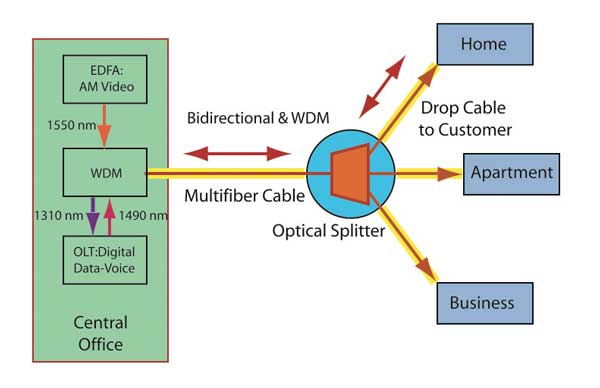 fiber optic network