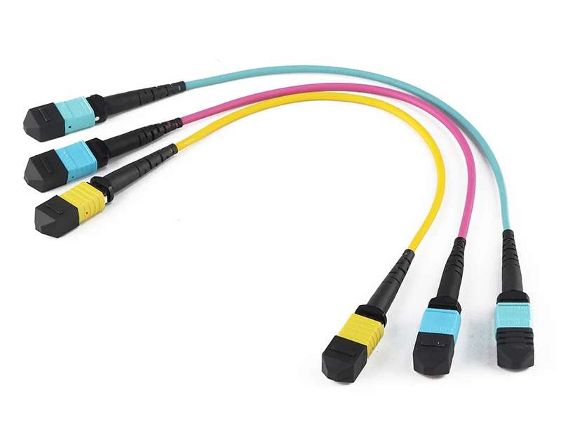 MPO branch cable