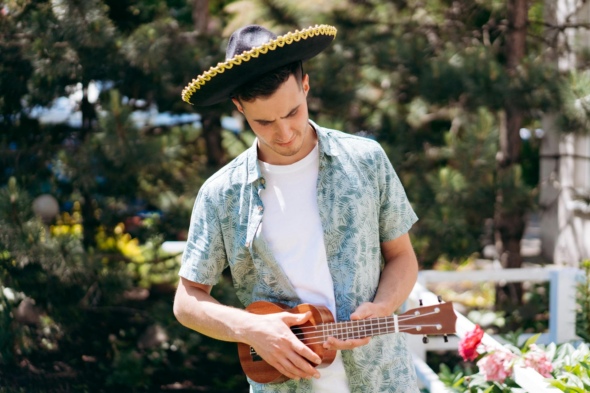 What is a Hawaiian Shirt and How to Design One?