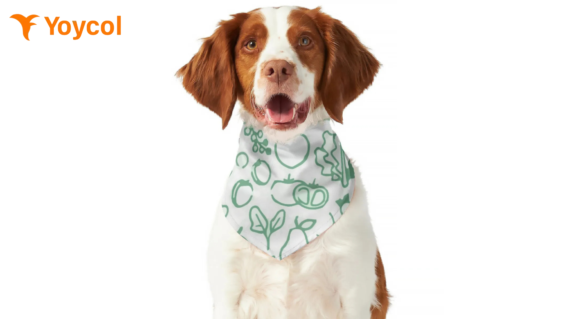 3. Pet Products