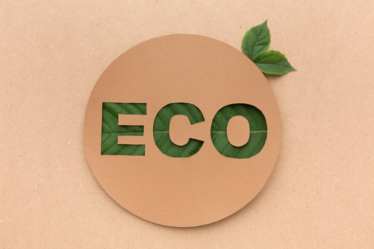 2. Eco-Friendly Products
