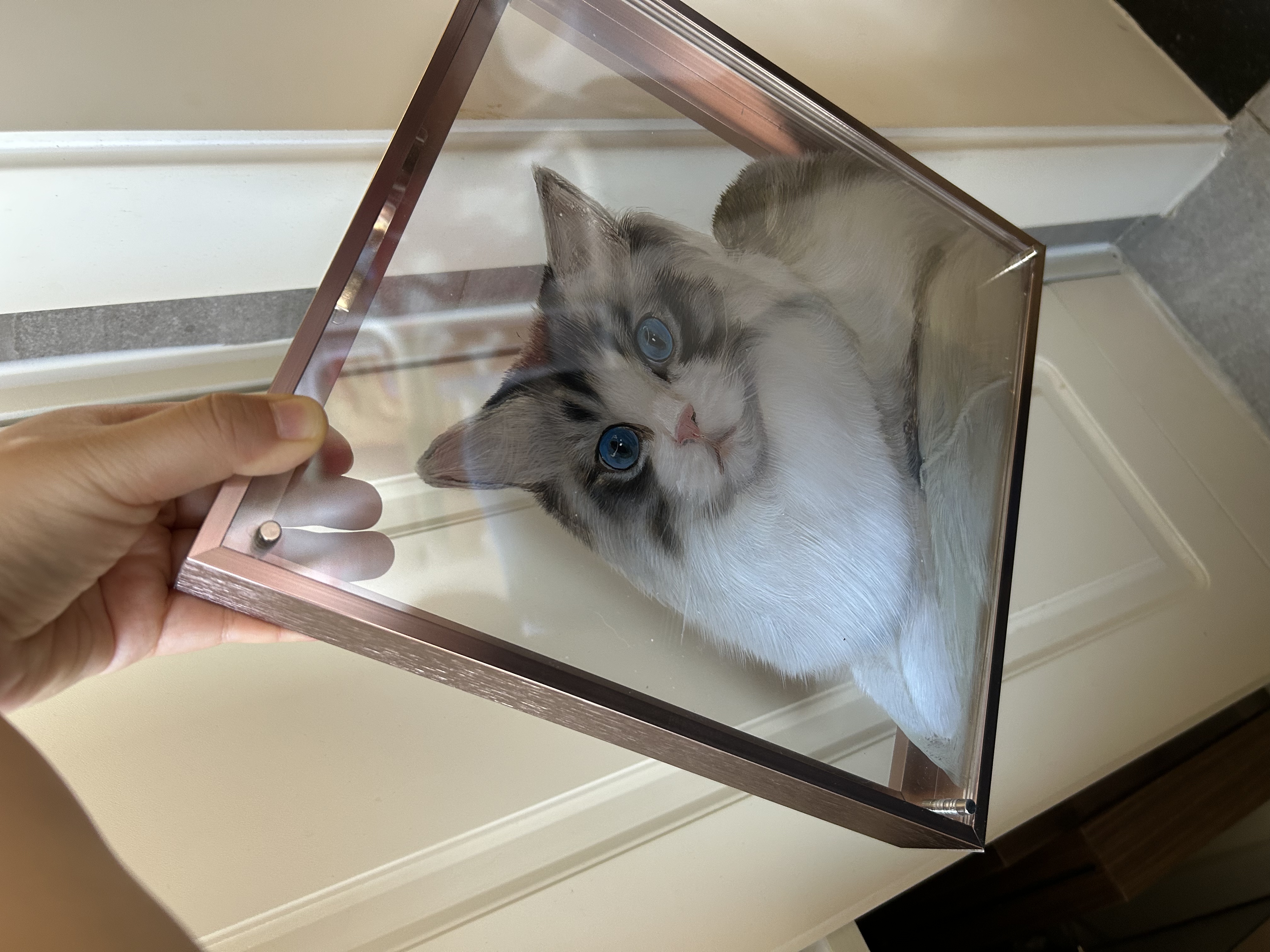 Custom Pet Portrait Tips