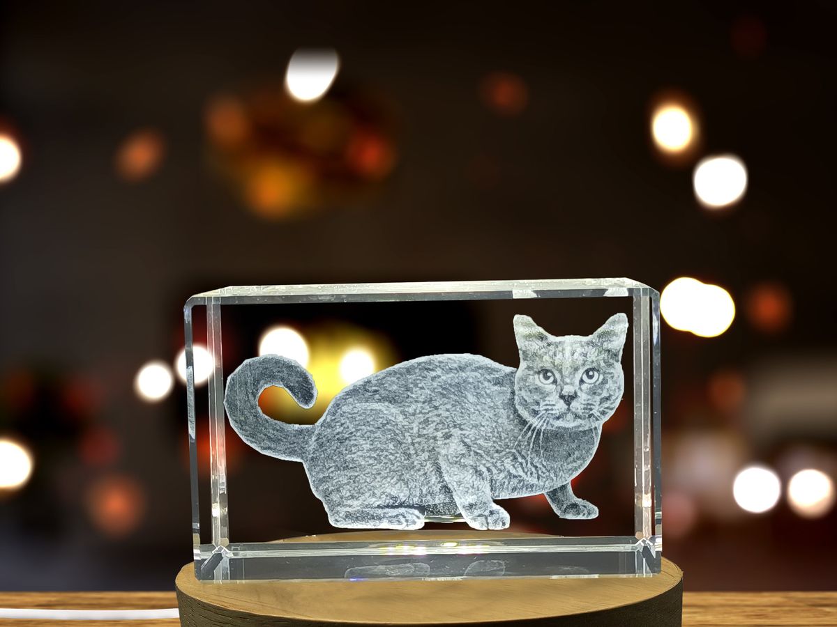 Pet Loss Gifts: Custom Crystal Lamps