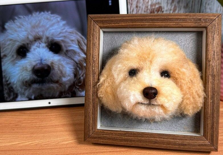 Custom-made pet photo frame (highly recommended)