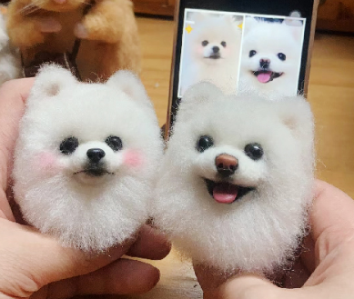 Star Pets Same Gift Picks for the Ultimate Holiday Surprise
