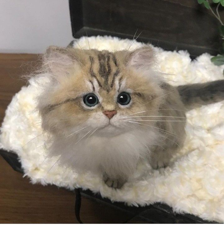 Preserve the Memory, cat wool felt