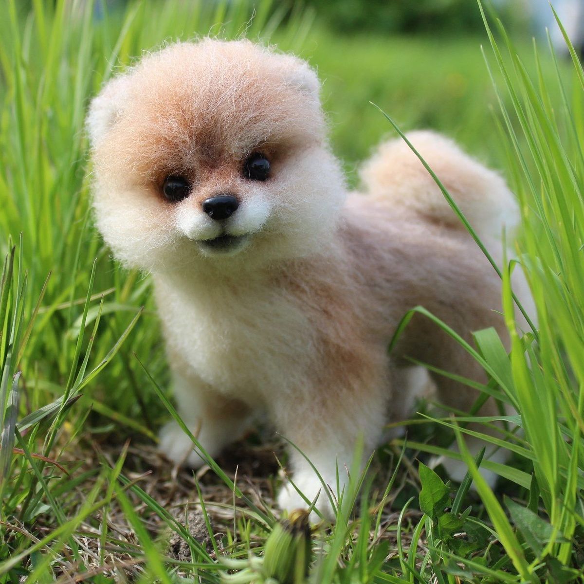 Ways Different Cultures Celebrate the Memory of Beloved Pets