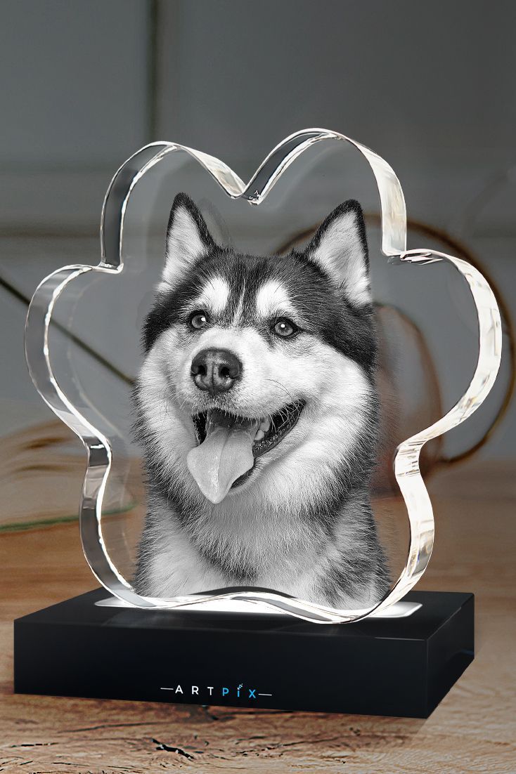 Personalized 3D Pet Photo Crystal by Pawimprint
