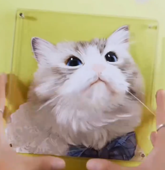 Floating Memory Gallery - Layered Acrylic Pet Portraits