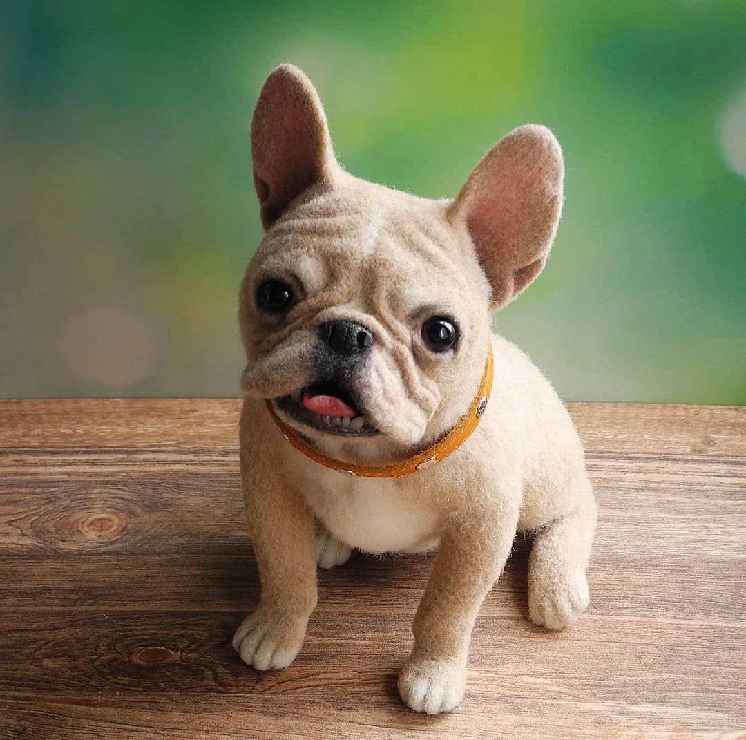 French Bulldog Gift Ideas for Every Recipient