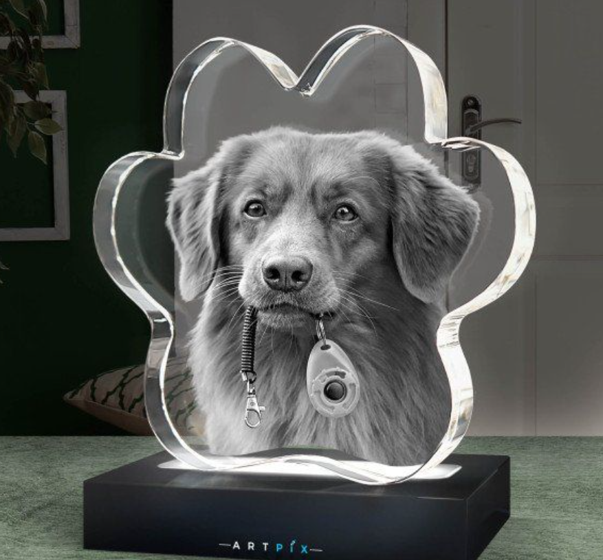 Customize 3D Pet Crystal