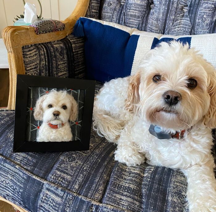 Custom Pet Portraits by Pawimprint
