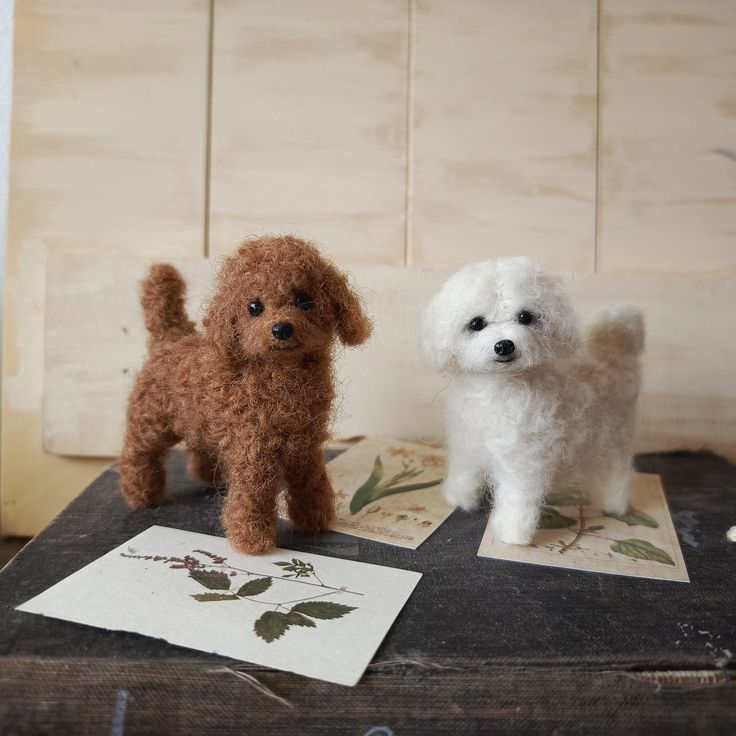 Meaningful ways to remember your beloved pet