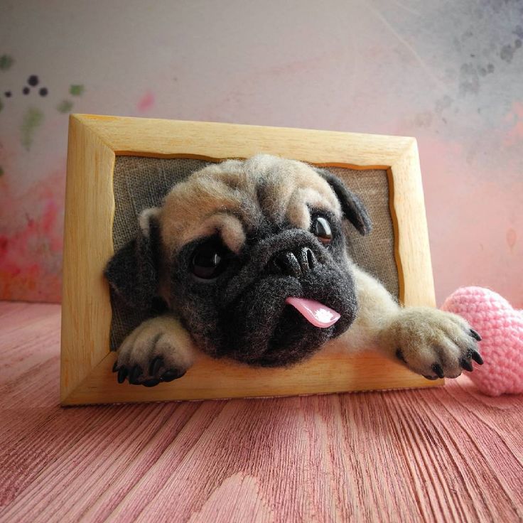 Personalized Pet Ornaments: Options