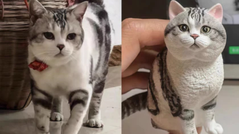 Best Material for Your Pet