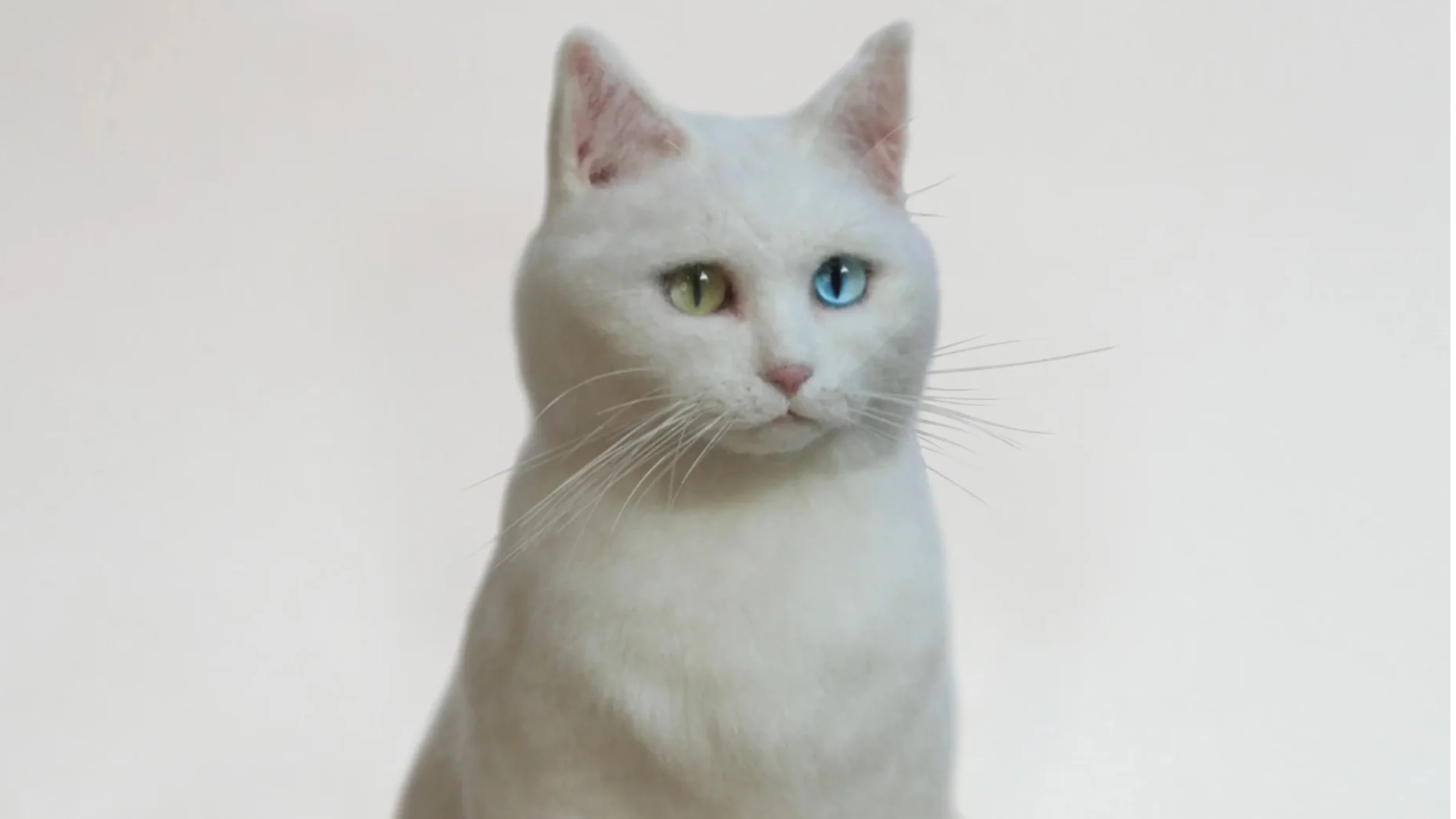 Felted Animals Trends